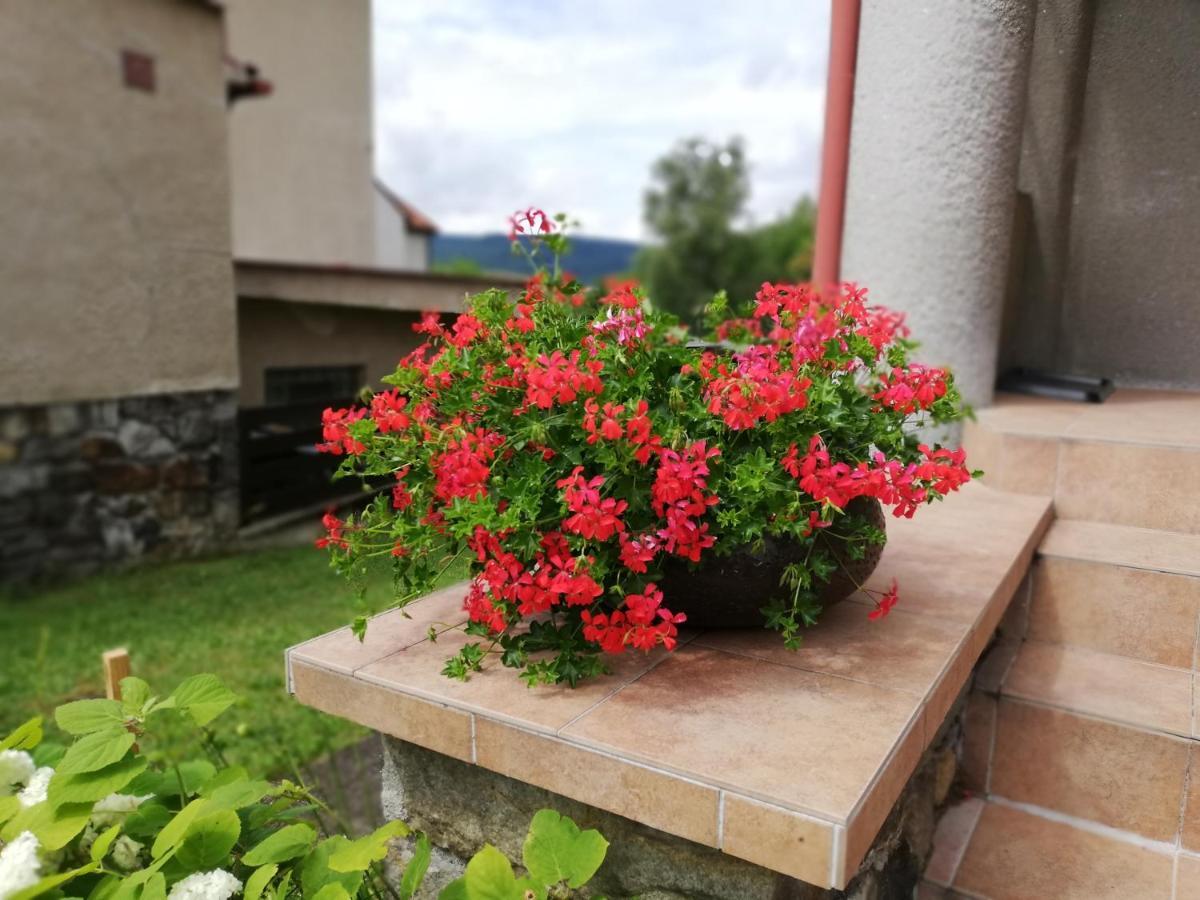 Villa Oliva Český Krumlov Eksteriør billede