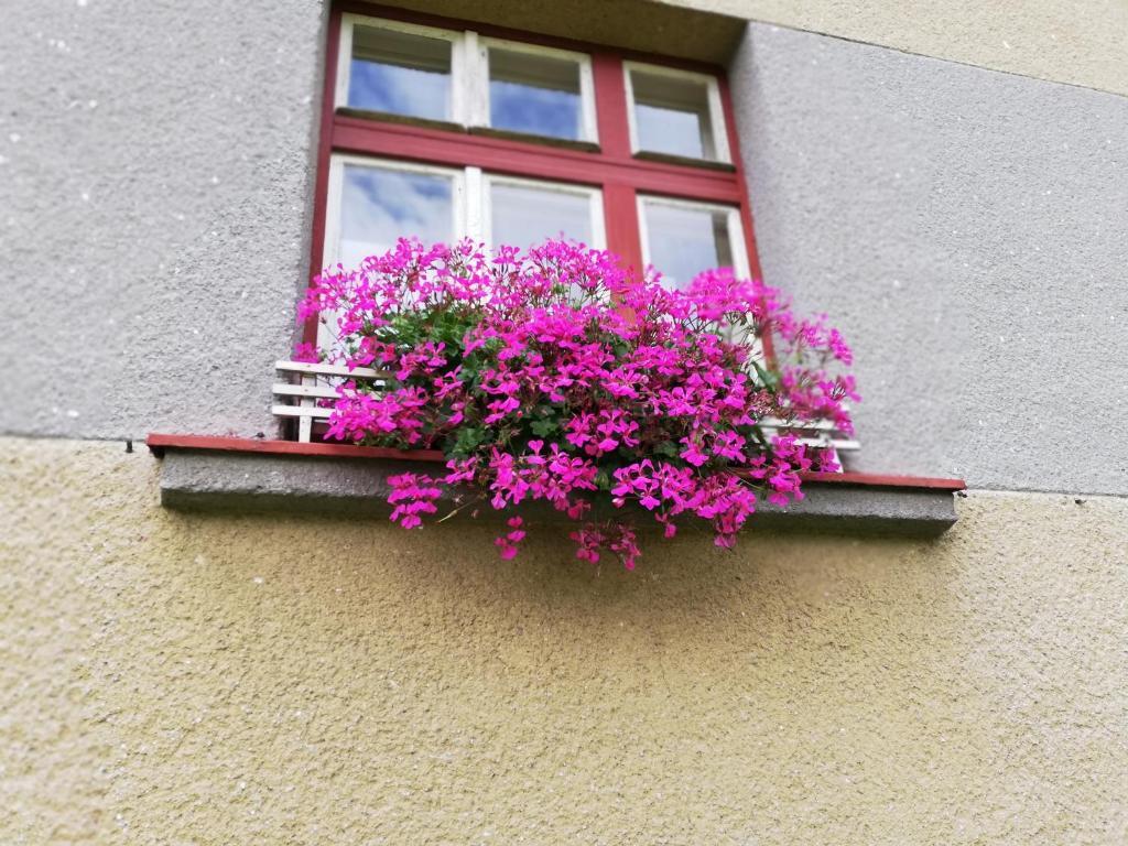 Villa Oliva Český Krumlov Eksteriør billede