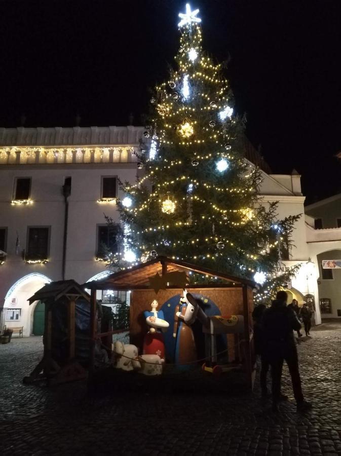 Villa Oliva Český Krumlov Eksteriør billede